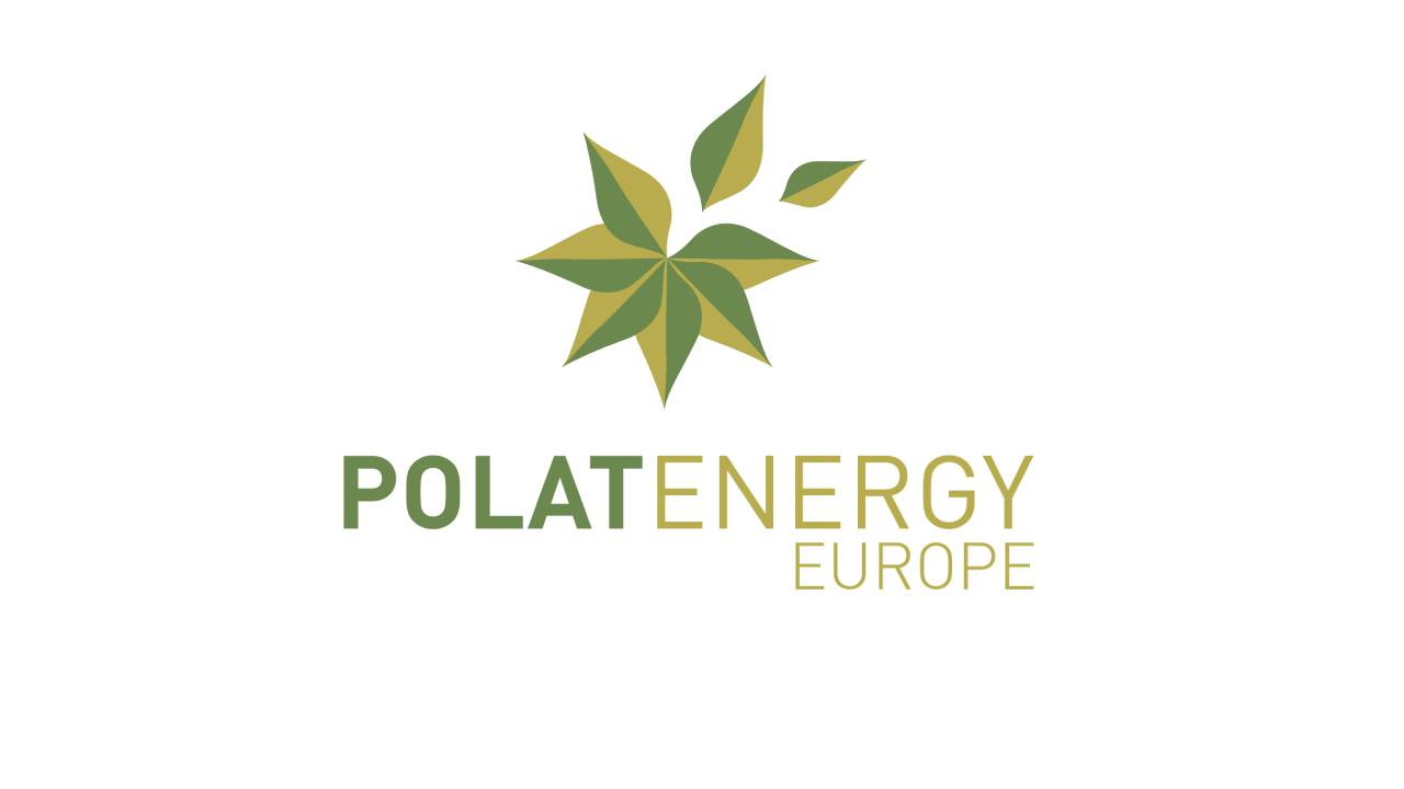 Polat Enerji, yurt dışı yatırımlarına Polat Energy Europe ile devam edecek